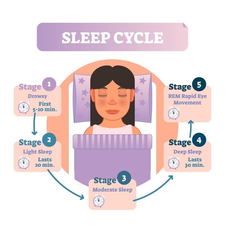 Sleep Cycle in Traditional Chinese Medicine - All Things Health