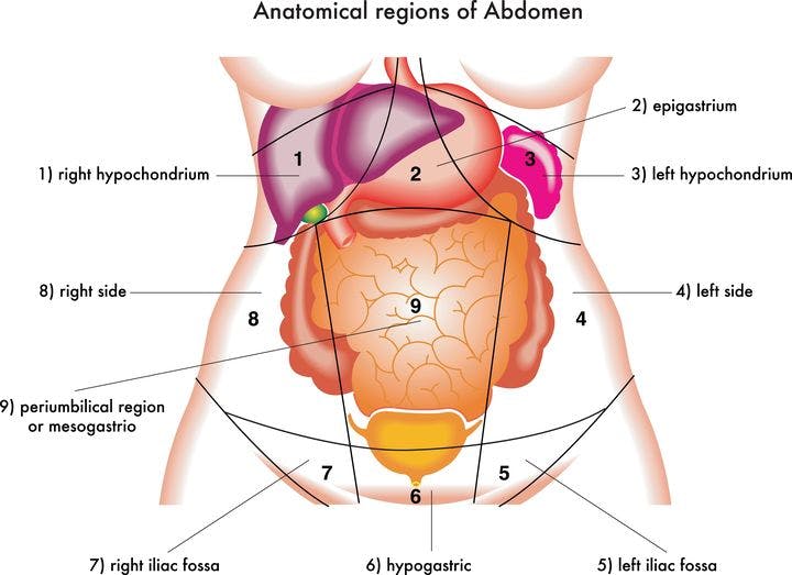Abdominal pain Information