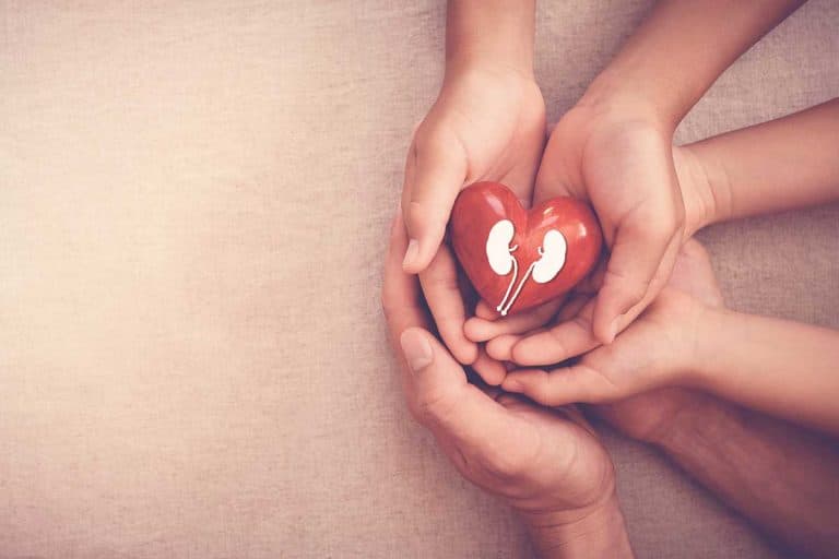 Three pairs of hands stacked on top of each other as the top pair holds a red heart-shaped block with a kidney visual painted on