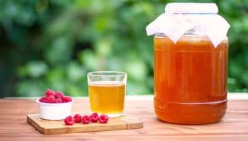 A large kombucha in a glass jar, a small glass containing kombucha and a bowl of raspberries on a wooden table