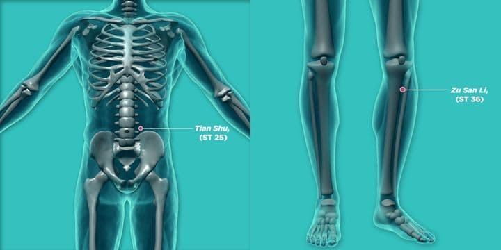 3D illustrations of the Tianshu and Zusanli acupoints