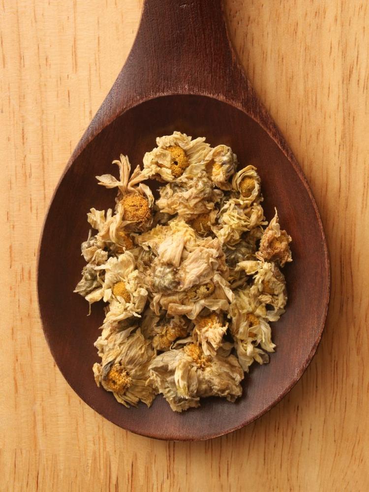 Dried wild chrysanthemum flower on spoon