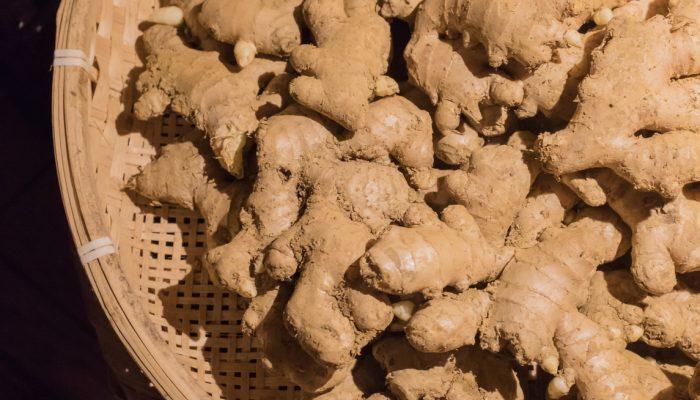 Close up of Zingiber Dried ginger