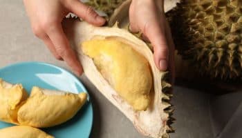 Woman holding a durian shell that’s holding a single pulp