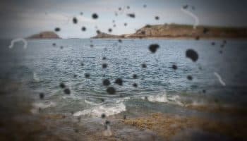 Point-of-view of a person with eye floaters looking out at the sea 