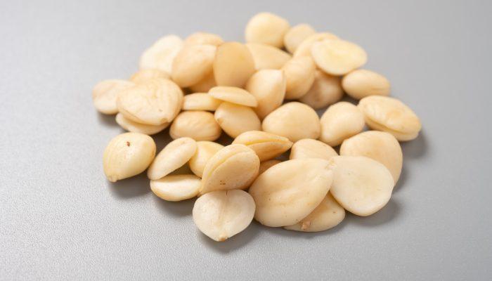 Bitter Apricot Seeds (semen prunus armeniaca)