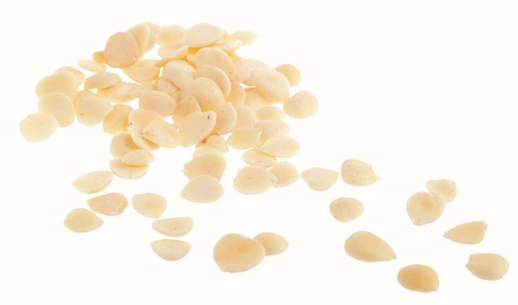 Bitter Apricot Seeds (Semen Armeniacae Amarum) in white background