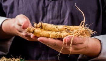 Close-up of a Chinese Medicine practitioner holding ginseng roots in both hands.