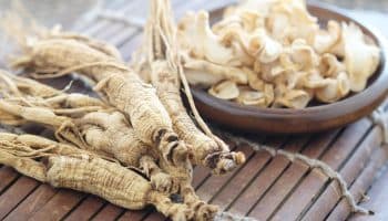 Ginseng roots on a bamboo mat with sliced american ginger roots in a wooden bowl