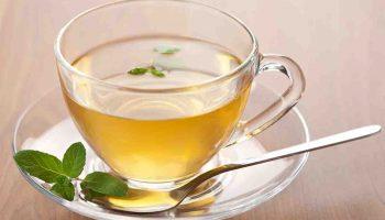 A transparent cup of green tea on a saucer with a spoon and sprig of mint.