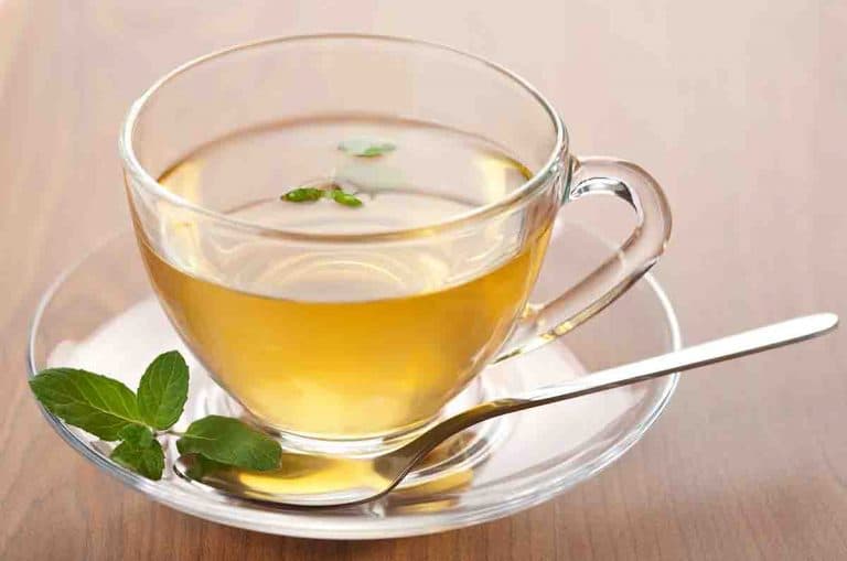 A transparent cup of green tea on a saucer with a spoon and sprig of mint.