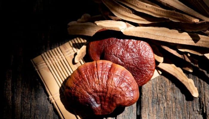 Lingzhi (Reishi)