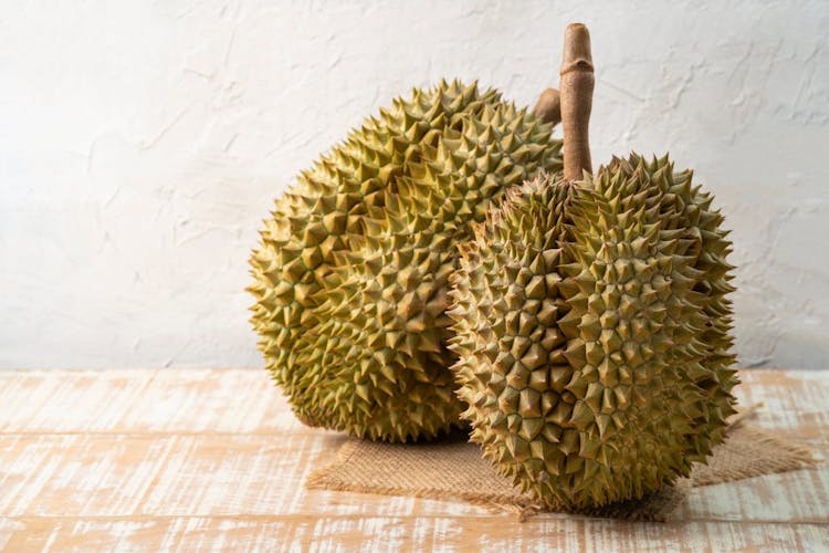 Whole durian fruit with the stem intake